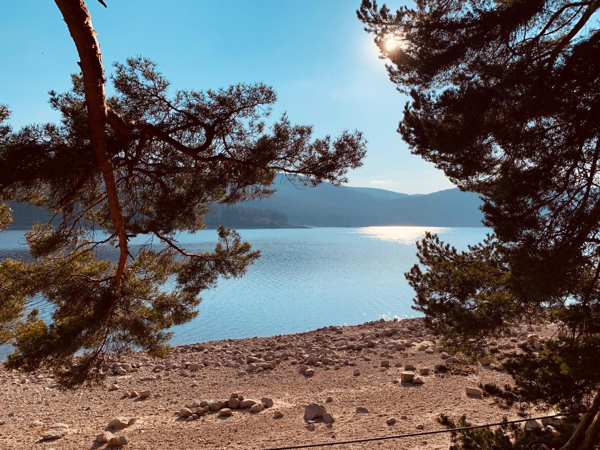 Kurhotel Schluchsee Apartment 2411 Εξωτερικό φωτογραφία